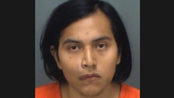 An illegal alien in Clearwater, Florida has been arrested for allegedly beheading his family’s cat and then displaying the severed head on a post in his backyard "to show what he is capable of."
