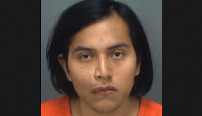An illegal alien in Clearwater, Florida has been arrested for allegedly beheading his family’s cat and then displaying the severed head on a post in his backyard "to show what he is capable of."
