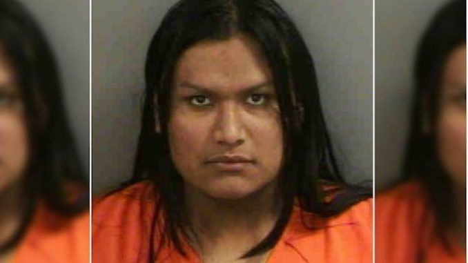 Illegal alien in Florida charged with 100 counts of possessing child porn