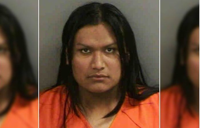Illegal alien in Florida charged with 100 counts of possessing child porn