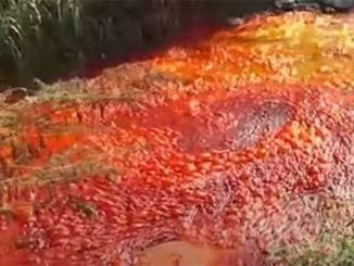 A river in Israel has become the latest waterway to turn red "like the Bible's plague of blood in Egypt", shocking local observers, scientists and Biblical scholars.
