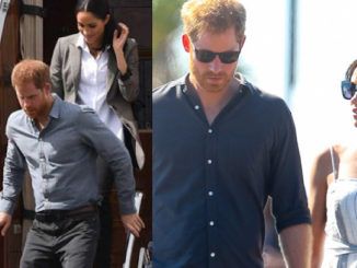 Climate change activists Prince Harry and Meghan Markle used a private jet to move from Canada to Los Angeles, according to reports.