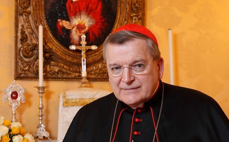 Top Catholic Cardinal Raymond Burke says COVID-19 is being used to usher in the evil Great Reset