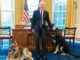 Biden and dogs