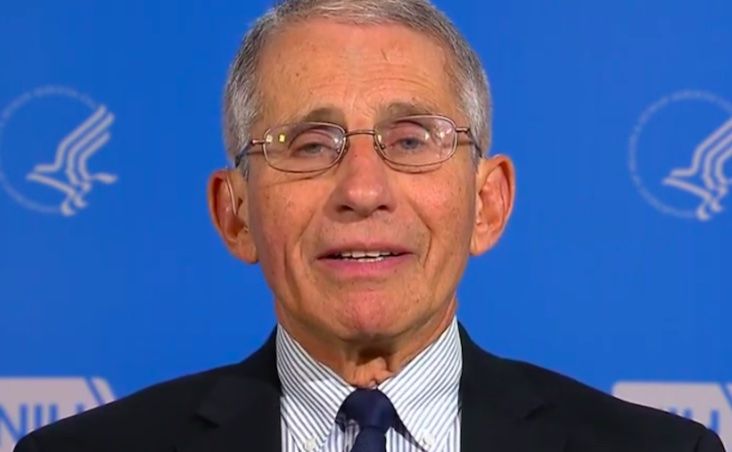 Dr. Anthony Fauci says children must wear masks in order to play together