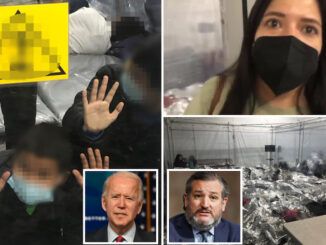 Senator Ted Cruz shares video of Biden kids in cages