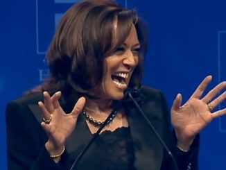 VP Kamala Harris cackles uncontrollably when discussing parents who can't afford good schools