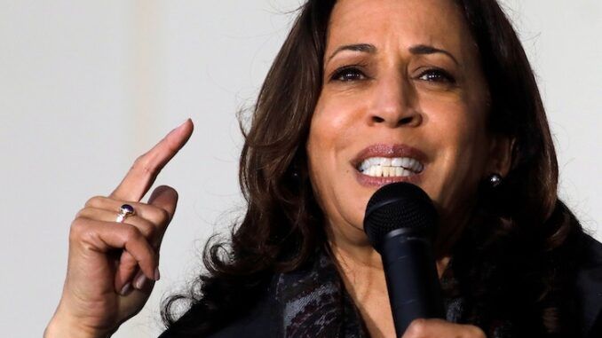 VP Kamala Harris claims black American women are more likely to die from child birth due to racism