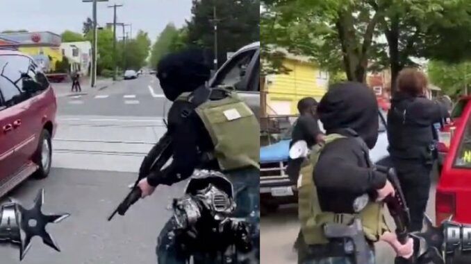Black Lives Matter activists draw guns on Portland residents - no police in sight
