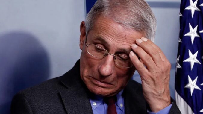 Calls mount for criminal investigation into Dr. Anthony Fauci