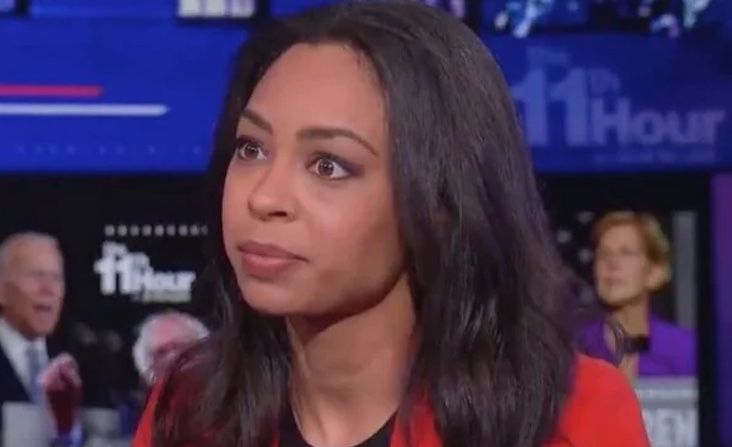NYT columnist says American flag is deeply disturbing and calls for separating America from whiteness