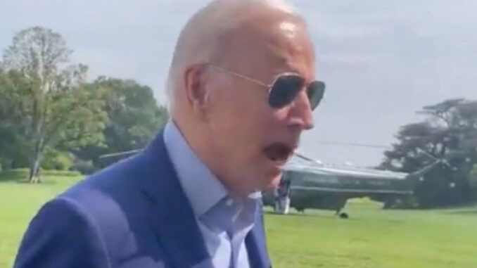 Joe Biden screams at reporter 'my butt's been wiped'