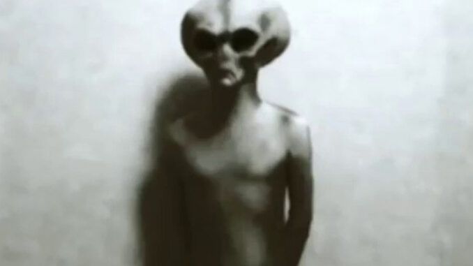 Australian government reports says U.S. government has known about cat-faced aliens for over 70 years