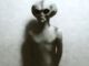 Australian government reports says U.S. government has known about cat-faced aliens for over 70 years