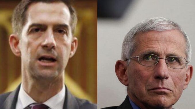Senator Tom Cotton demands Fauci is prosecuted for funding Wuhan lab