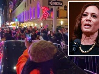 Kamala Harris greeted with 'f joe biden' chants in New York City