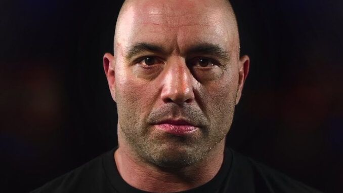 New World Order vow to permanently erase Joe Rogan from the internet