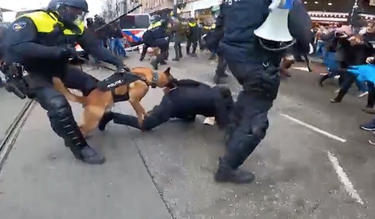Dutch police deploy wild attack dogs to maul anti-lockdown protestors