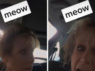 A viral TikTok video in which a woman claiming to be a substitute teacher rants about a school firing her for failing to respect a student's decision to identify as a cat was an "experiment" to see how online fake news really is.