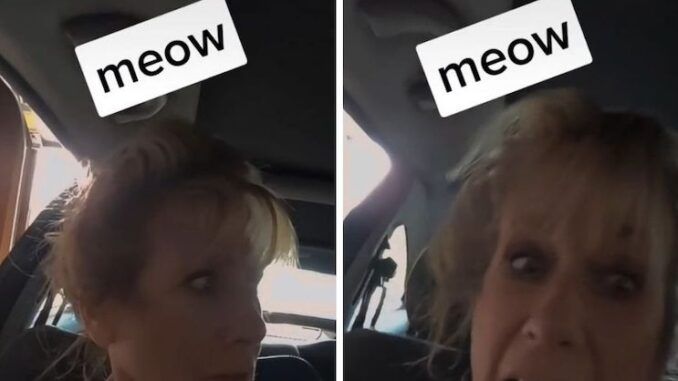A viral TikTok video in which a woman claiming to be a substitute teacher rants about a school firing her for failing to respect a student's decision to identify as a cat was an "experiment" to see how online fake news really is.