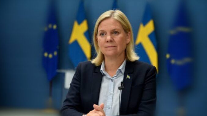 Swedish PM on NATO