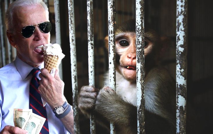President Biden set to profit from monkeypox vaccine