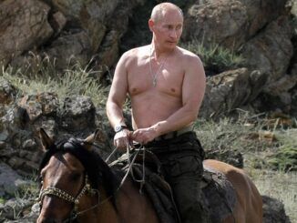 Putin topless