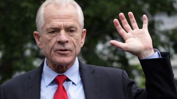Peter Navarro warns they are going to arrest 74 million Trump supporters