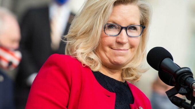Liz Cheney says she is running to protect Americans from Trump becoming president