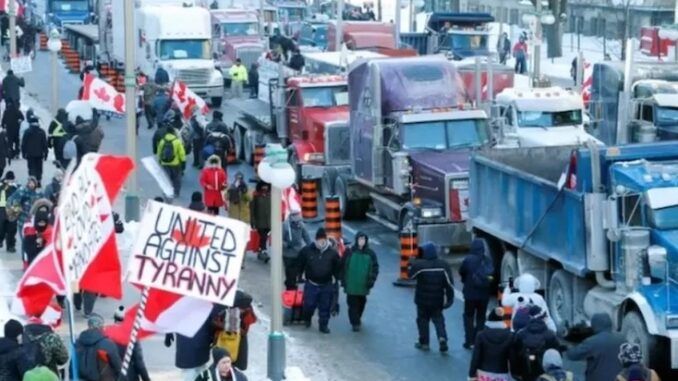 Canada join Dutch farmers uprising and reject the 'New World Order'