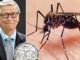 Months after a Bill Gates tech start-up released millions of genetically modified mosquitoes in to the wild, mosquitoes across the US are testing positive to extremely rare and deadly viruses, some of which have never before been reported in the United States.