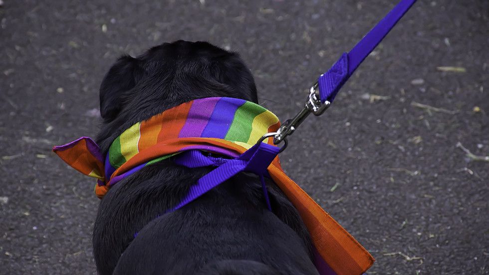 'Decriminalize Sex With Animals': Zoophilia Pride Marchers Demand LGBTQI+ Movement Add a Z
