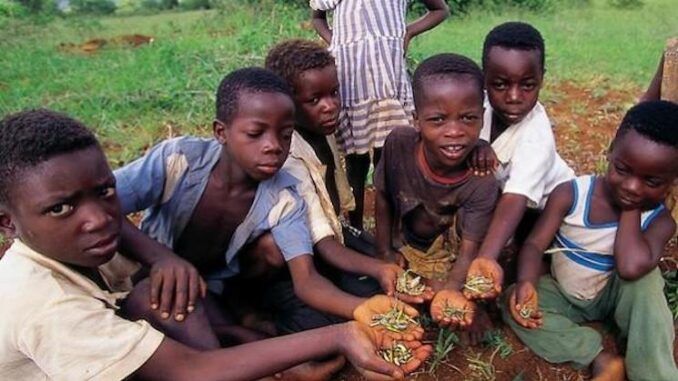British government experiment with 'alt meat' by feeding African kids worms, locusts and other insects