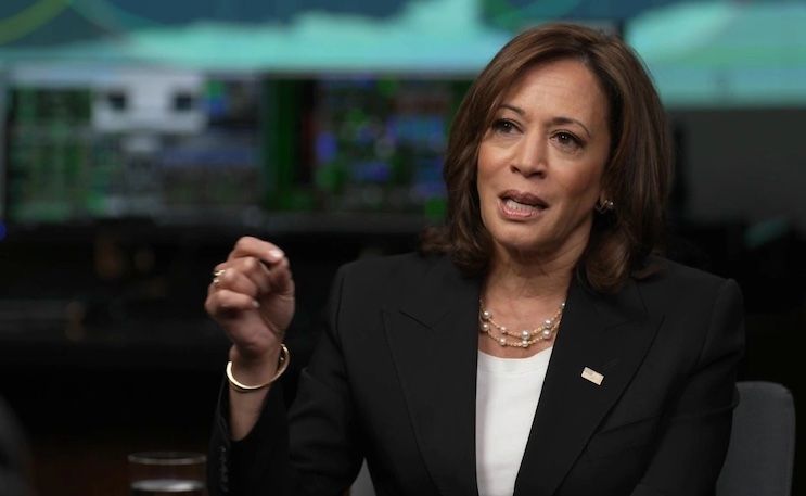 Kamala Harris says democracy only works if Democrats are in power