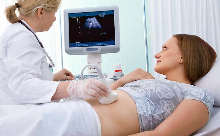 Hungary to make women who want an abortion listen to their babies heartbeat first