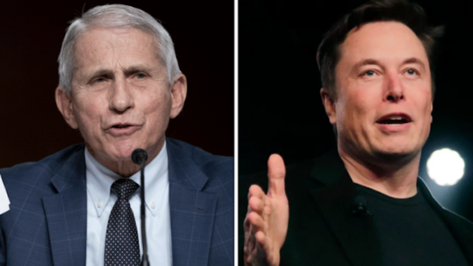 Elon Musk exposes Anthony Fauci - says gain-of-function is just another way of saying bioweapon