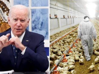 President Biden announces plan to pump mRNA vaccines into millions of chickens