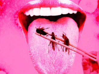 Italy and Hungary pass law banning WEF bug eating agenda