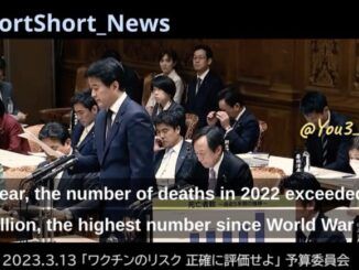excess deaths Japan