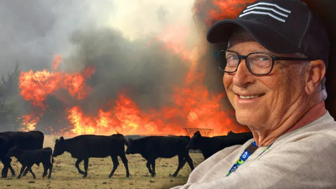 Bill Gates ist froh, dass 18.000 Kühe bei einer mysteriösen Explosion auf seiner Farm in Texas getötet wurden