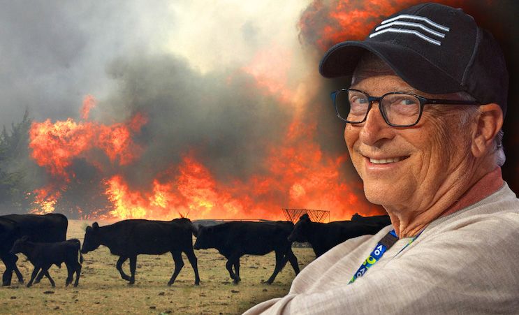 Bill Gates delighted as mysterious explosion kills 18,000 cows at Texas farm