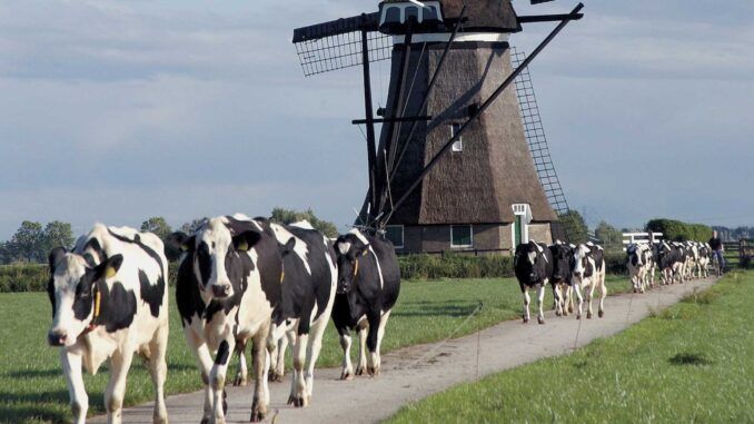 Dutch farmers