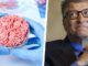 Carbon footprint of Bill Gates' synthetic meat found to worse than ranching, according to study