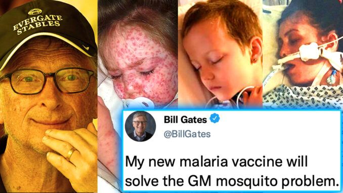 Bill Gates has been caught releasing billions of diseased mosquitoes in the US and it just so happens that he has a vaccine coming out soon which he says will solve the problem of the diseased mosquitoes.