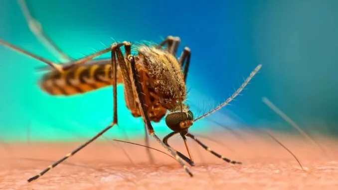 Die CIA wurde bei der Durchführung von Mückenexperimenten in Indien erwischt