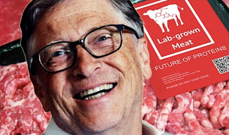 CNN urges viewers to begin eating Bill Gates' lab-grown meat