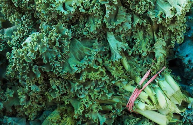 Organic kale found to contain carcinogenic chemicals