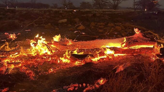 Maui authorities deliberately blocked road so children would perish in wildfires