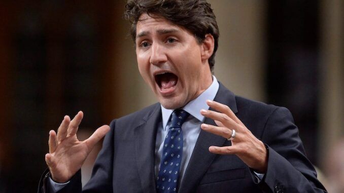 Trudeau caught attacking citizen for asking a simple question about Ukraine and peace