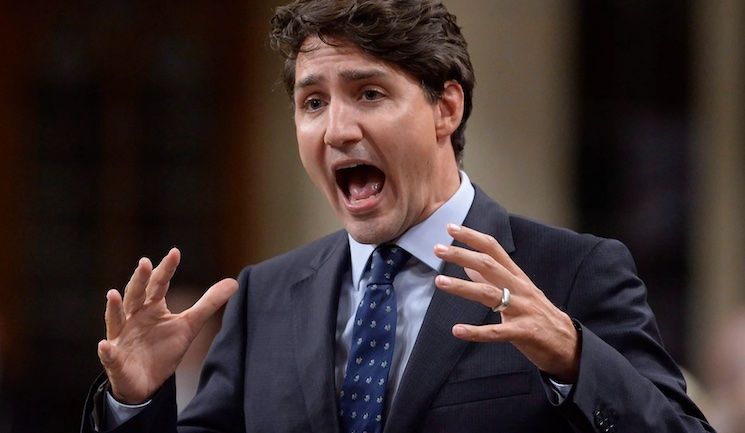 Trudeau caught attacking citizen for asking a simple question about Ukraine and peace